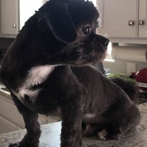 Meet your Posher, Sindy carolina